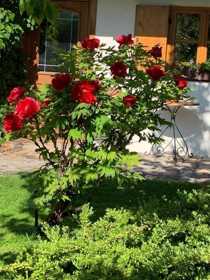 Ferienwohnung Fanese Флинтсбах Екстериор снимка